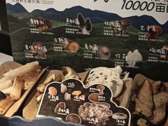 土鸡菌汤锅-芸山季·云南山珍菌火锅(人民广场来福士店)