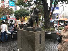 -涩谷全向十字路口