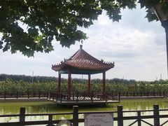 -河北村民俗体验园