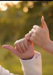 -金夫人婚纱摄影(华南店)