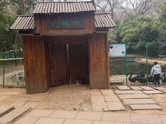 -镇江市南山风景名胜区竹林景区