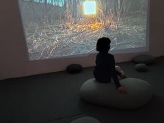 -金茂览秀城