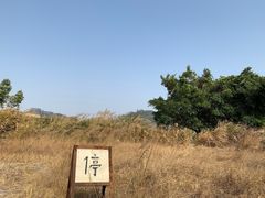 -黄埔油麻山森林公园