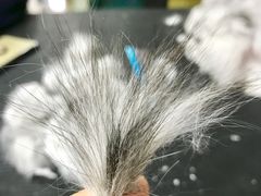 -酷狗靓猫宠物·洗护·美容·寄养(航北路店)