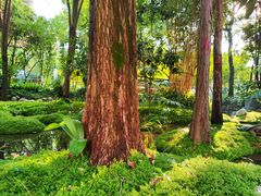 -成都市活水公园