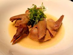 -子福慧(虹桥店)