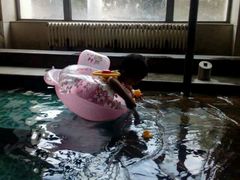 -月亮河温泉度假酒店