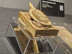 -深圳博物馆(古代艺术馆)