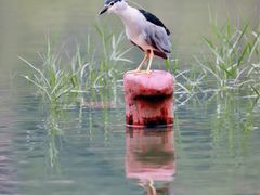 -苏州河梦清园环保主题公园