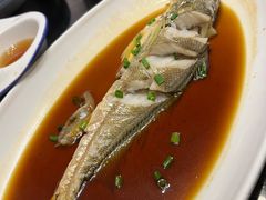 大黄鱼-阿南海鲜