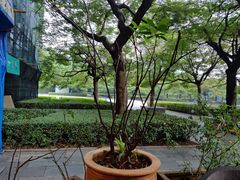 -缘生态云南菜·野生菌庭院餐厅(华侨城店)