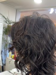 -HaLo hair studio