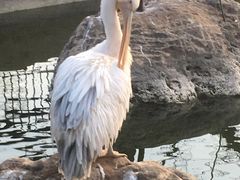 -昆明动物园