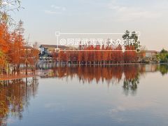 -白鹭湾湿地公园