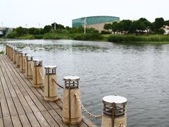 -新江湾城公园