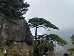 -黄山风景区