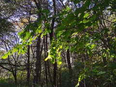-沈阳辉山风景区