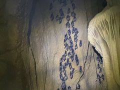 -地心探险极地
