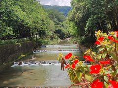 -广州白江湖森林公园