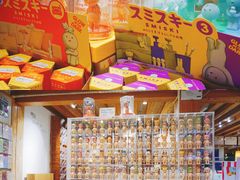 -猫的天空之城概念书店(丽江古城饮玉巷店)