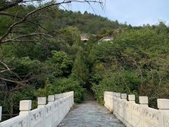 -白水寺森林公园