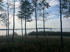 -苏州湾体育公园