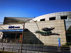 -上海海洋水族馆