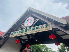 -上海海湾国家森林公园