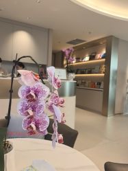 -深圳芙必优医疗美容·抗衰中心