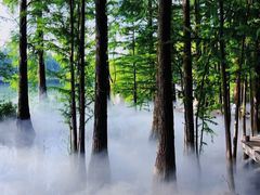 -东湖落雁景区