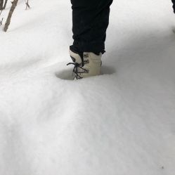 -大秃顶子山
