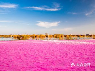 谁说海拉尔没什么玩的，粉色的沙滩你见过吗
