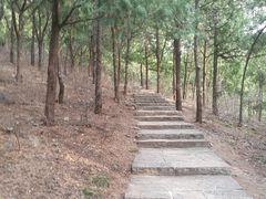 -佛慧山