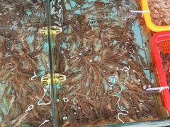 -景好海鲜餐厅(大鹏必选旅游店)