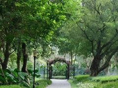 -东莞植物园