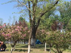 -长白岛森林公园