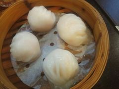 招牌虾饺皇-添运来(茶园奥园广场店)