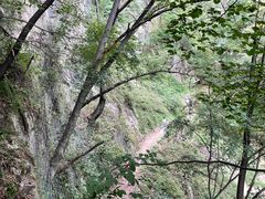 -王顺山国家森林公园