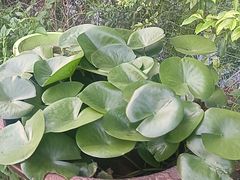 -菜根香土菜馆(文昌东路店)