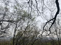 -宝石山