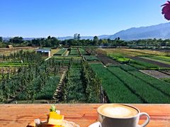 -翠田Green Field Kitchen