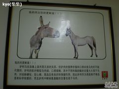 店里张贴画5-王胖子驴肉火烧(鼓楼店)