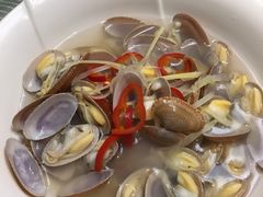 -强记海鲜·大排档(蛇口新街店)