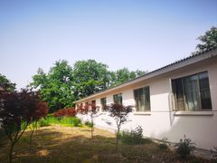 -春兰国宾馆(凤城河风景区老街店)