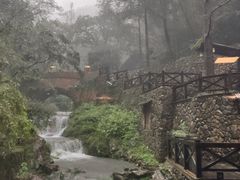 -宁海森林温泉