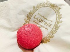 -ladurée(戴高乐机场T 2F店)