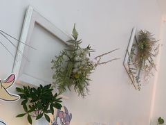 -春树下·树屋花房西餐厅(罍街AS1980店)