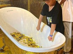 -不可思议减压馆·解压博物馆·摔碗发泄·团建定制