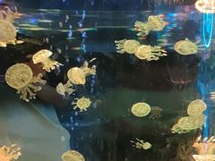 -广州海洋馆
