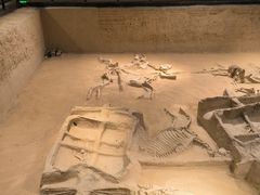 -洛阳周王城天子驾六博物馆